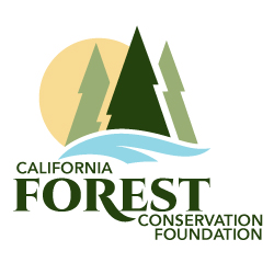 CFCF-Logo.jpg