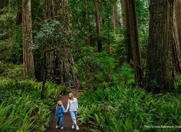 Keeping the forest in your family takes conscious effort for the best results