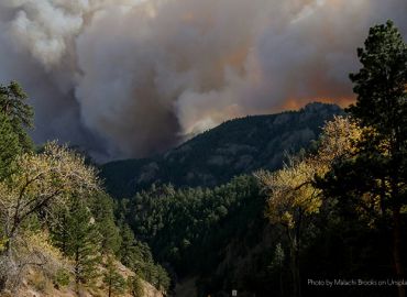 Update on the Gov's Cal Wildfire & Forest Resilient Taskforce