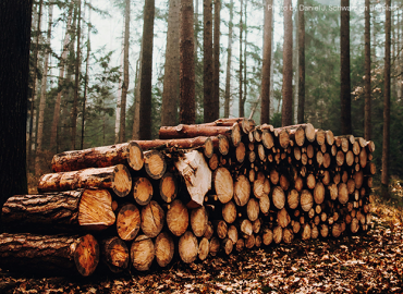 Timber Tax Workshop